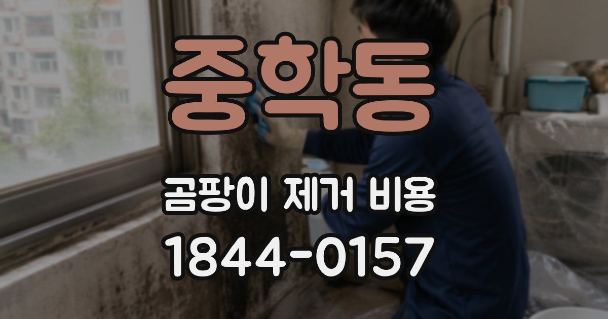 중학동 곰팡이 제거 비용