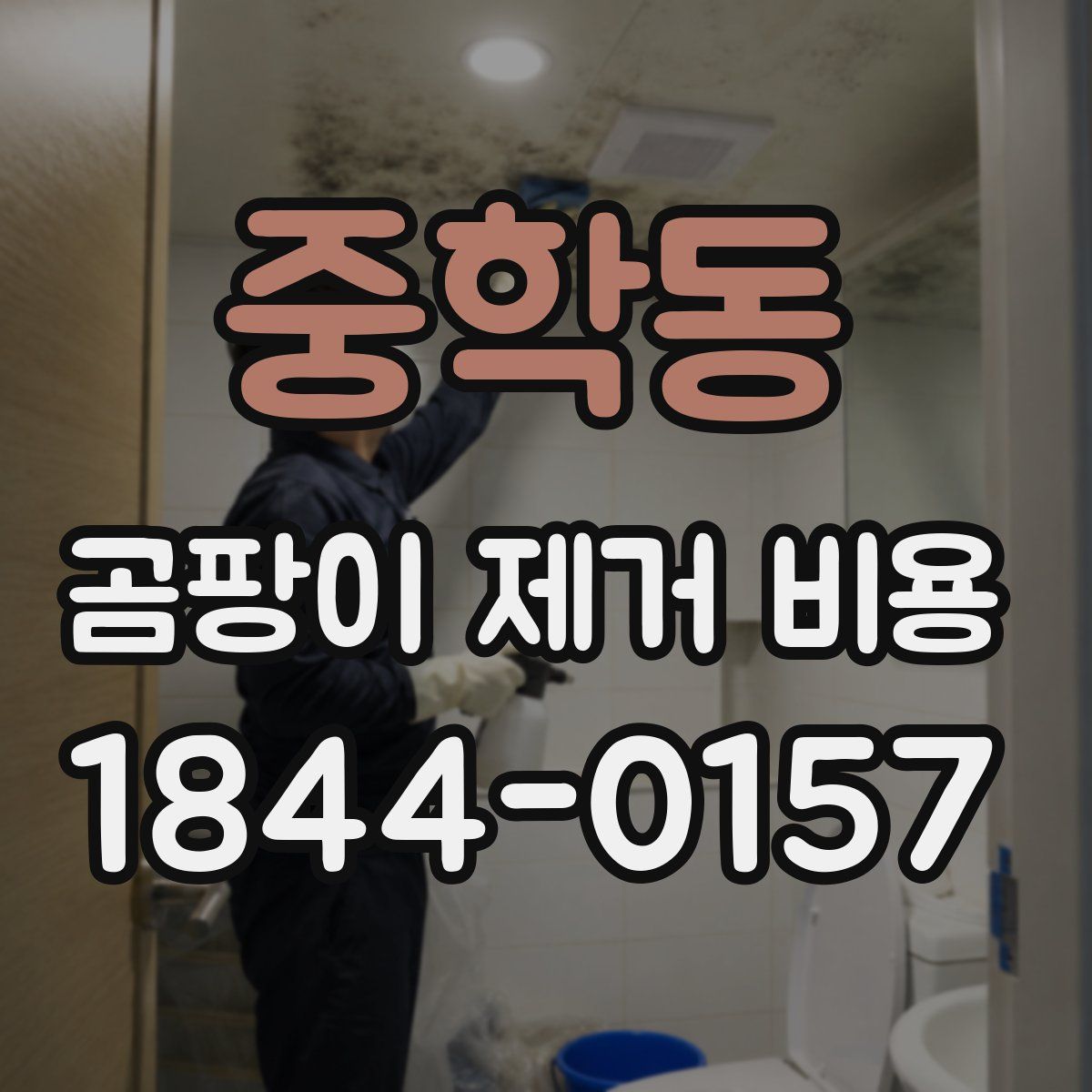 중학동 곰팡이 제거 비용