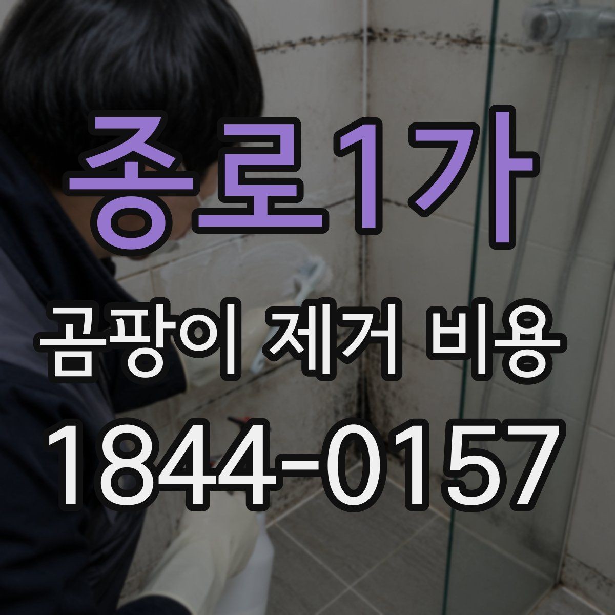 종로1가 곰팡이 제거 비용 누수 원인까지 함께 잡을 때 달라지는 항목