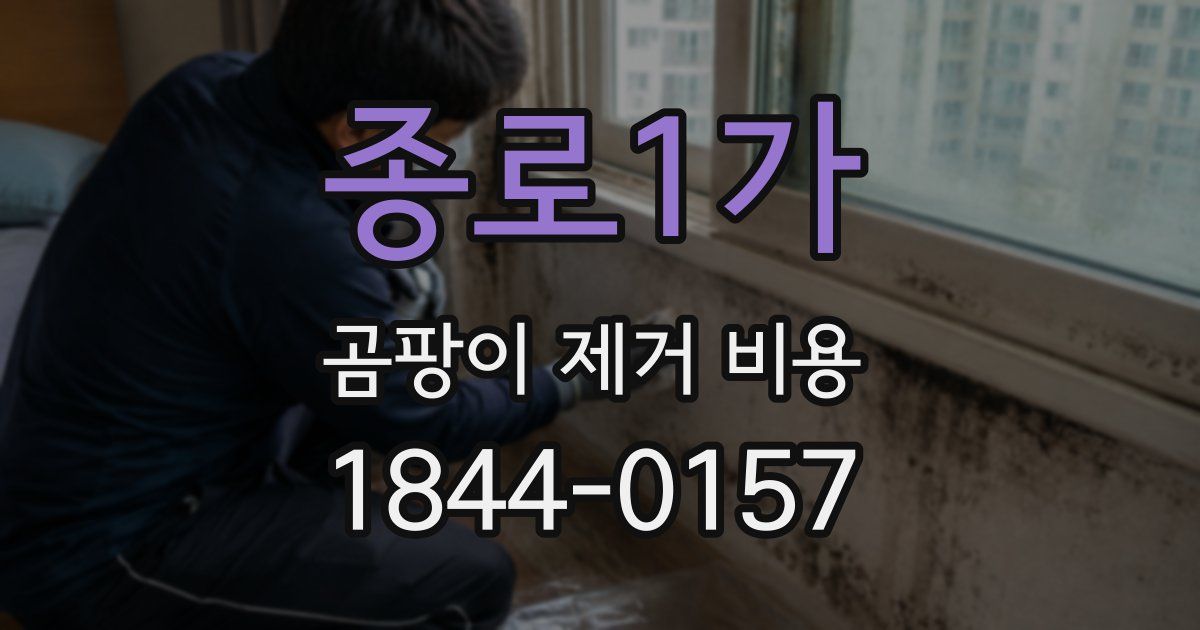 종로1가 곰팡이 제거 비용