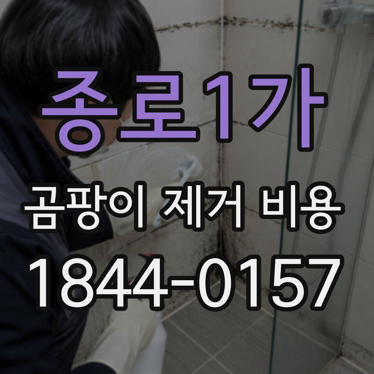 종로1가 곰팡이 제거 비용
