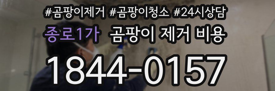 종로1가 곰팡이 제거 비용