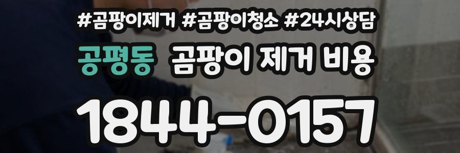공평동 곰팡이 제거 비용