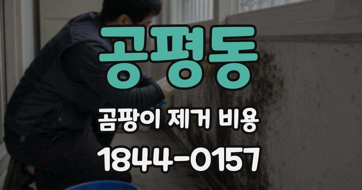 공평동 곰팡이 제거 비용