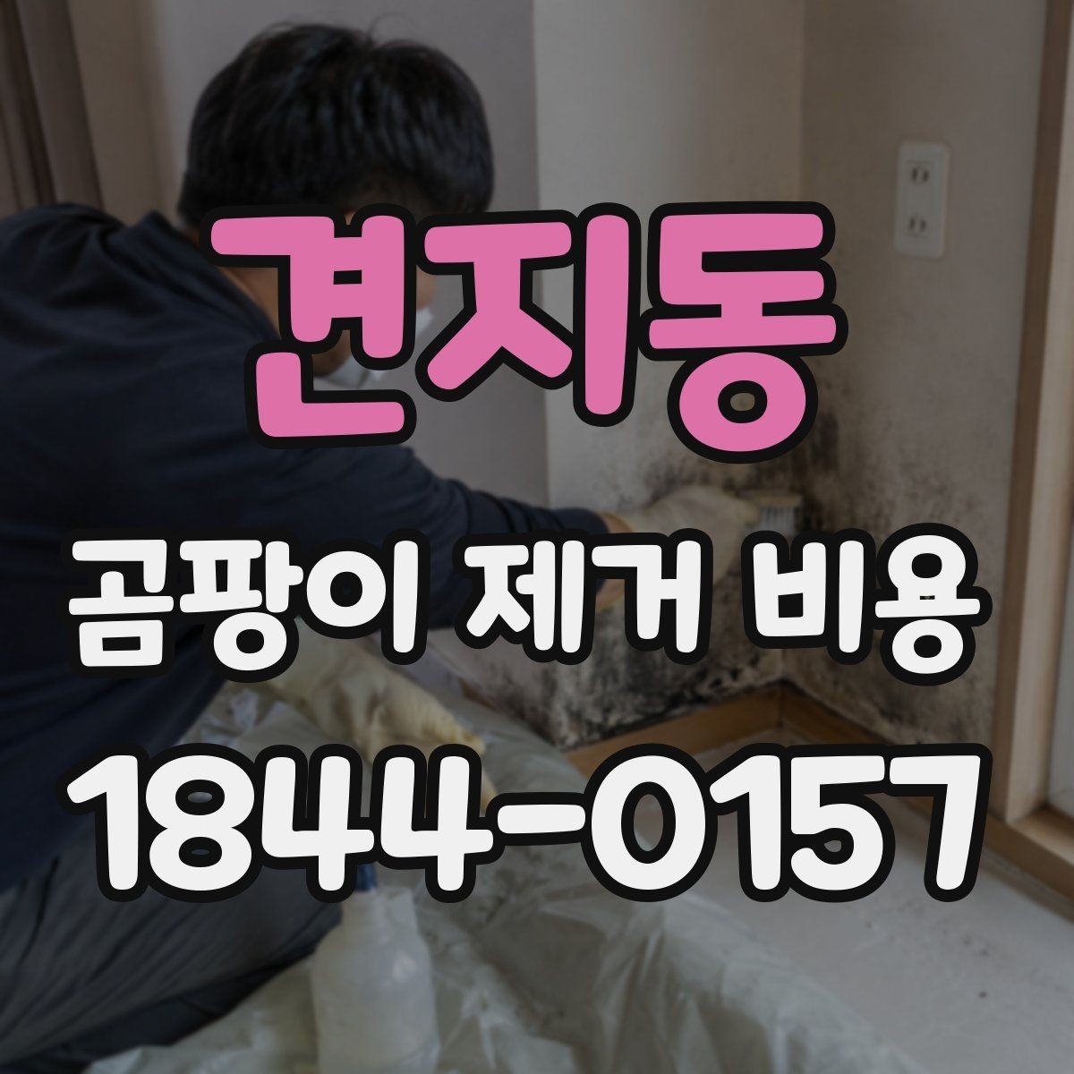 견지동 곰팡이 제거 비용 추가 복구 공정이 붙는 대표 상황