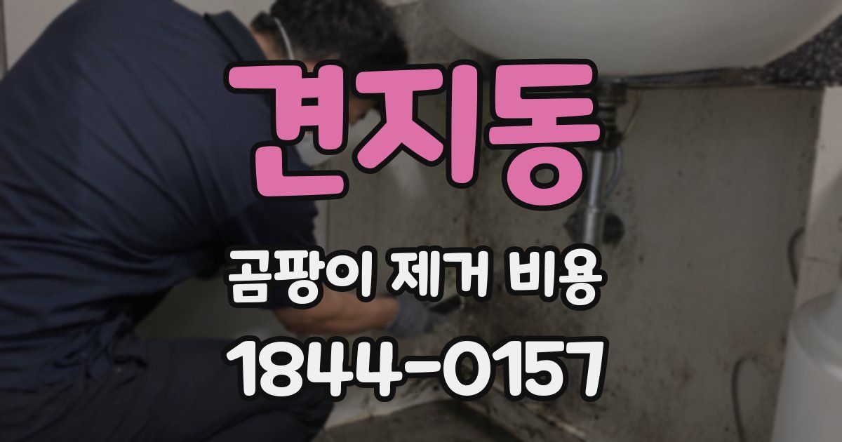견지동 곰팡이 제거 비용