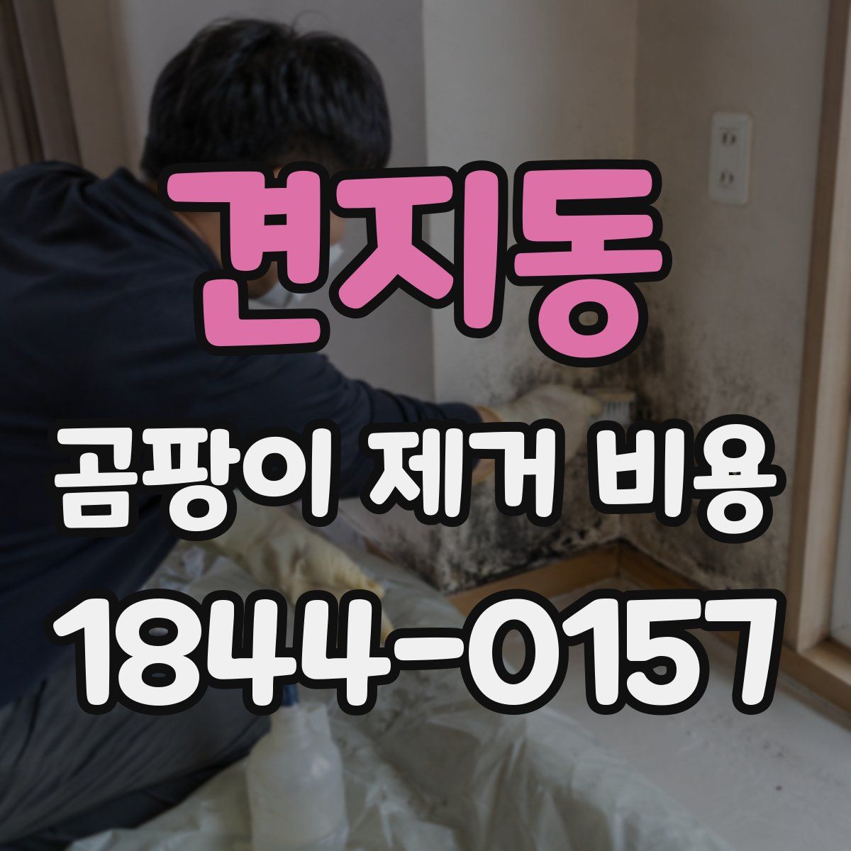 견지동 곰팡이 제거 비용