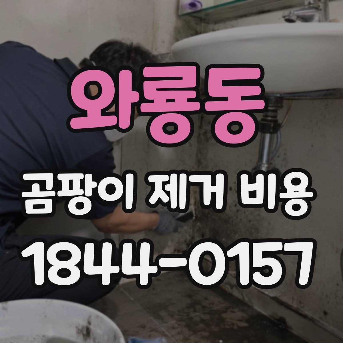 와룡동 곰팡이 제거 비용 소독 작업 포함 여부를 업체별로 비교