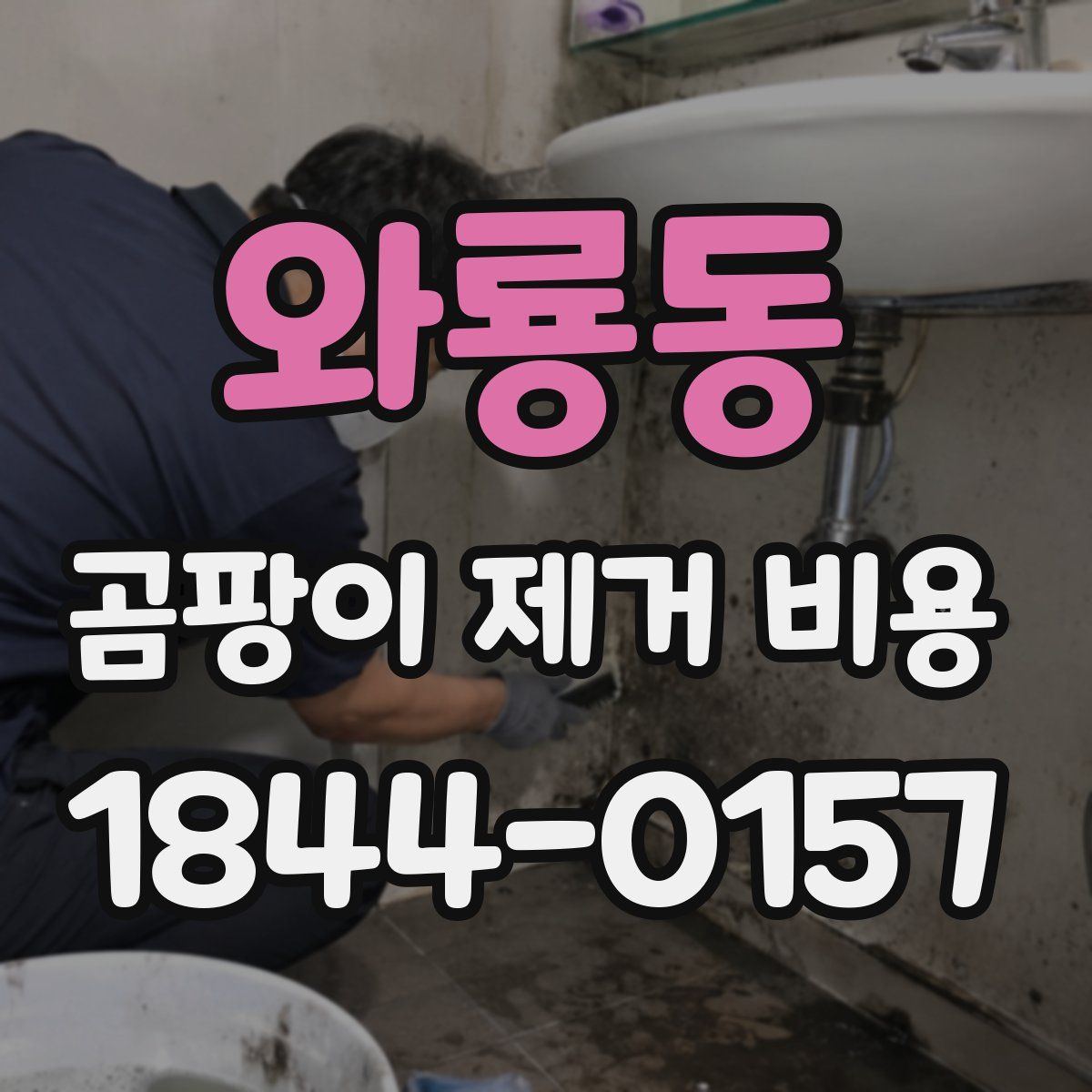 와룡동 곰팡이 제거 비용