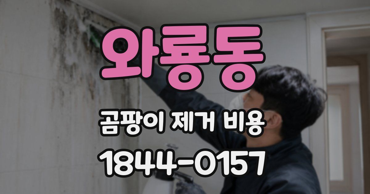 와룡동 곰팡이 제거 비용