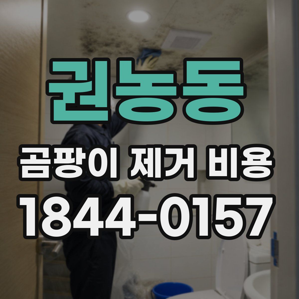 권농동 곰팡이 제거 비용