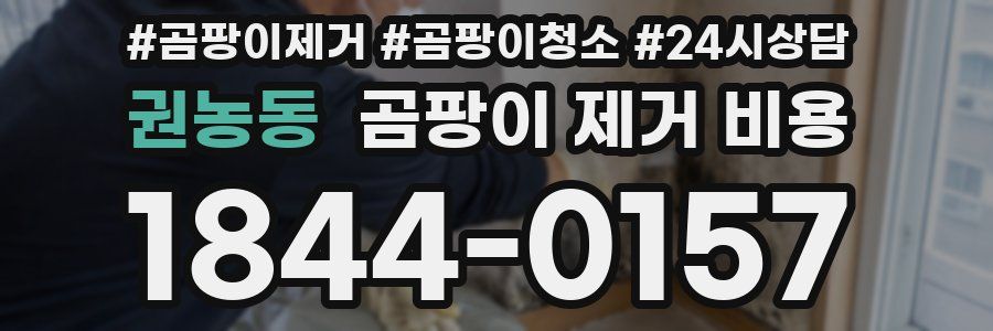 권농동 곰팡이 제거 비용