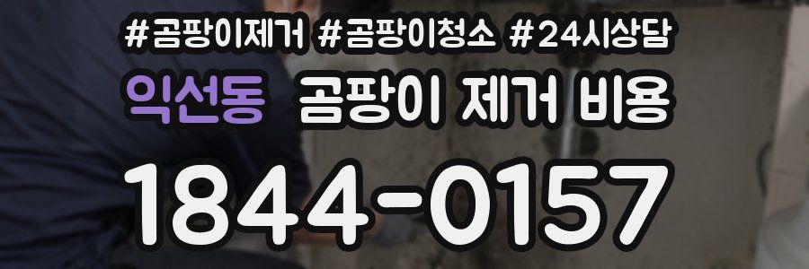 익선동 곰팡이 제거 비용