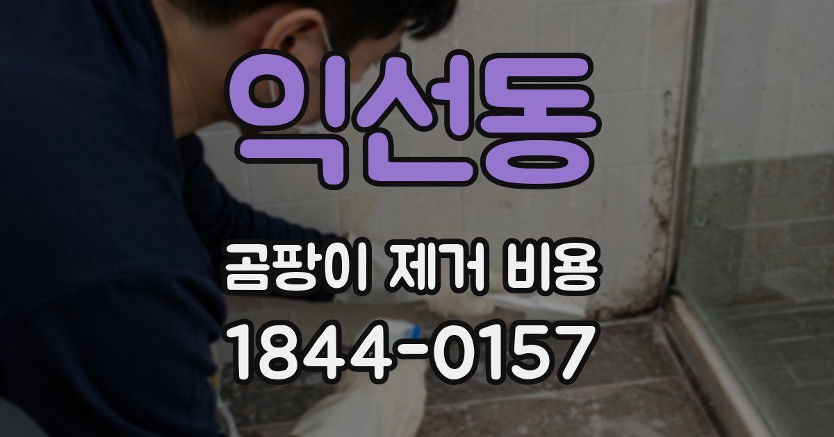 익선동 곰팡이 제거 비용