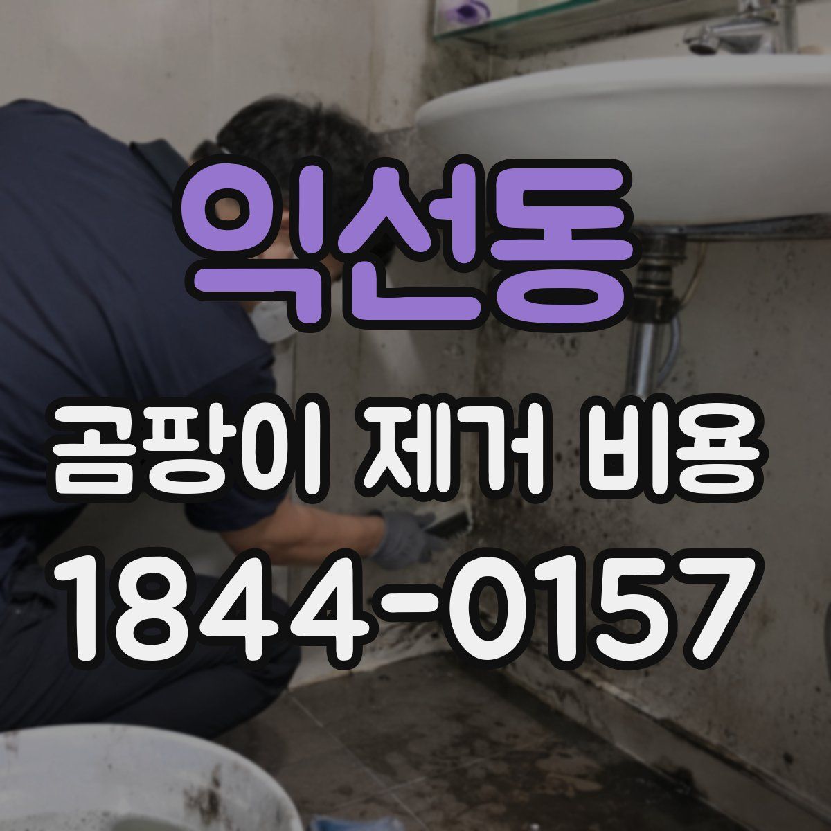익선동 곰팡이 제거 비용