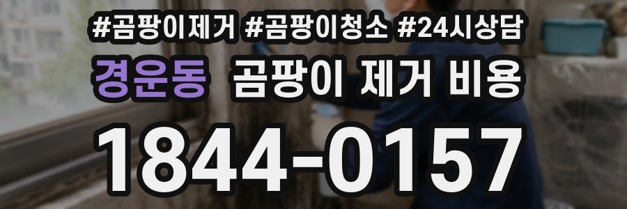 경운동 곰팡이 제거 비용