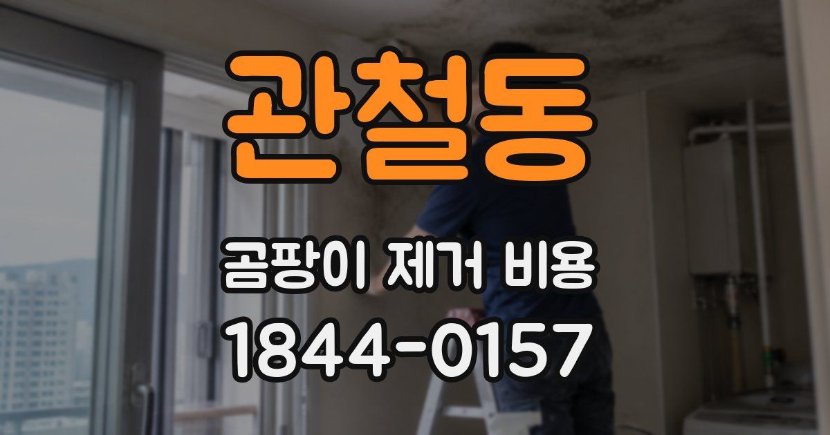 관철동 곰팡이 제거 비용