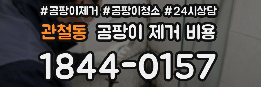 관철동 곰팡이 제거 비용