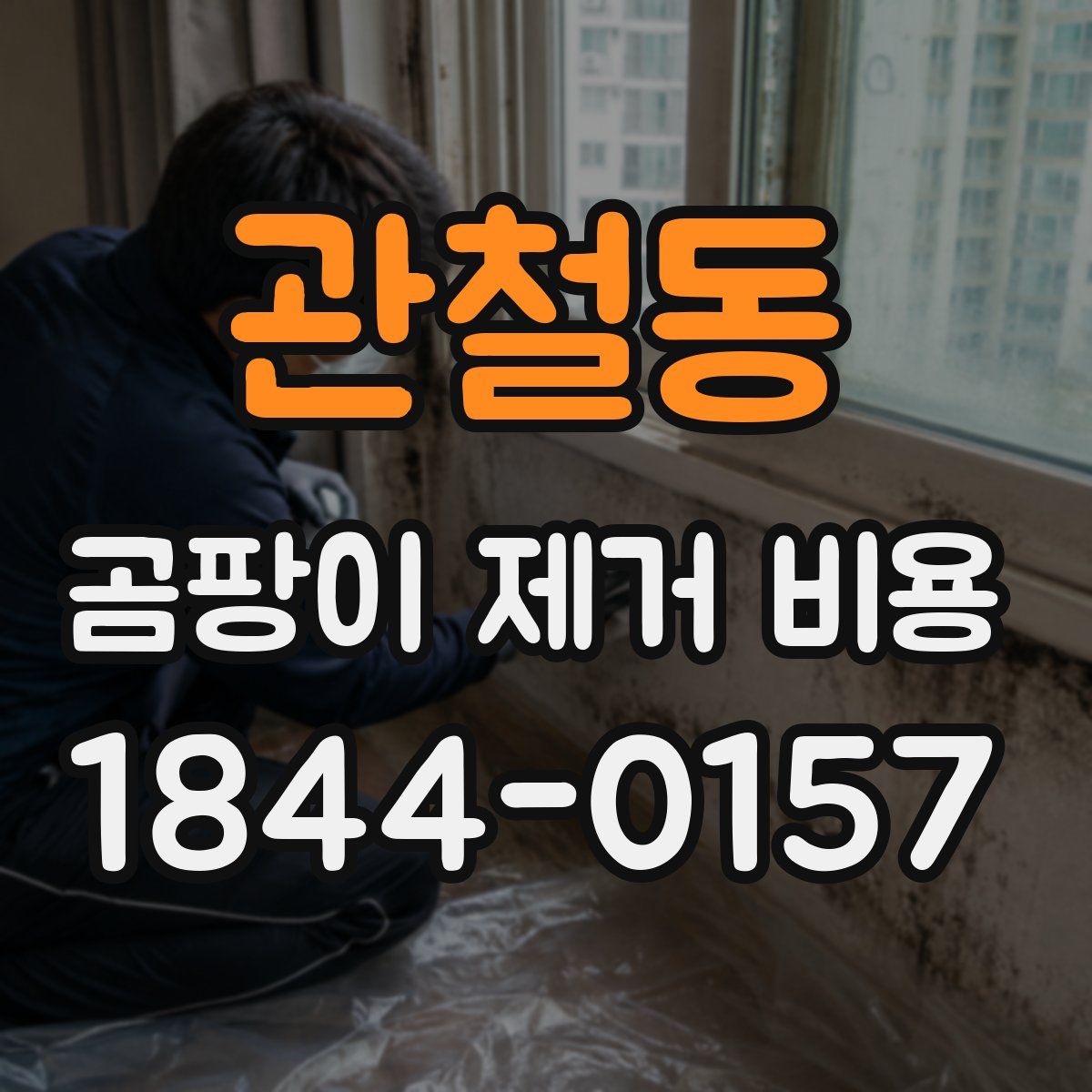 관철동 곰팡이 제거 비용