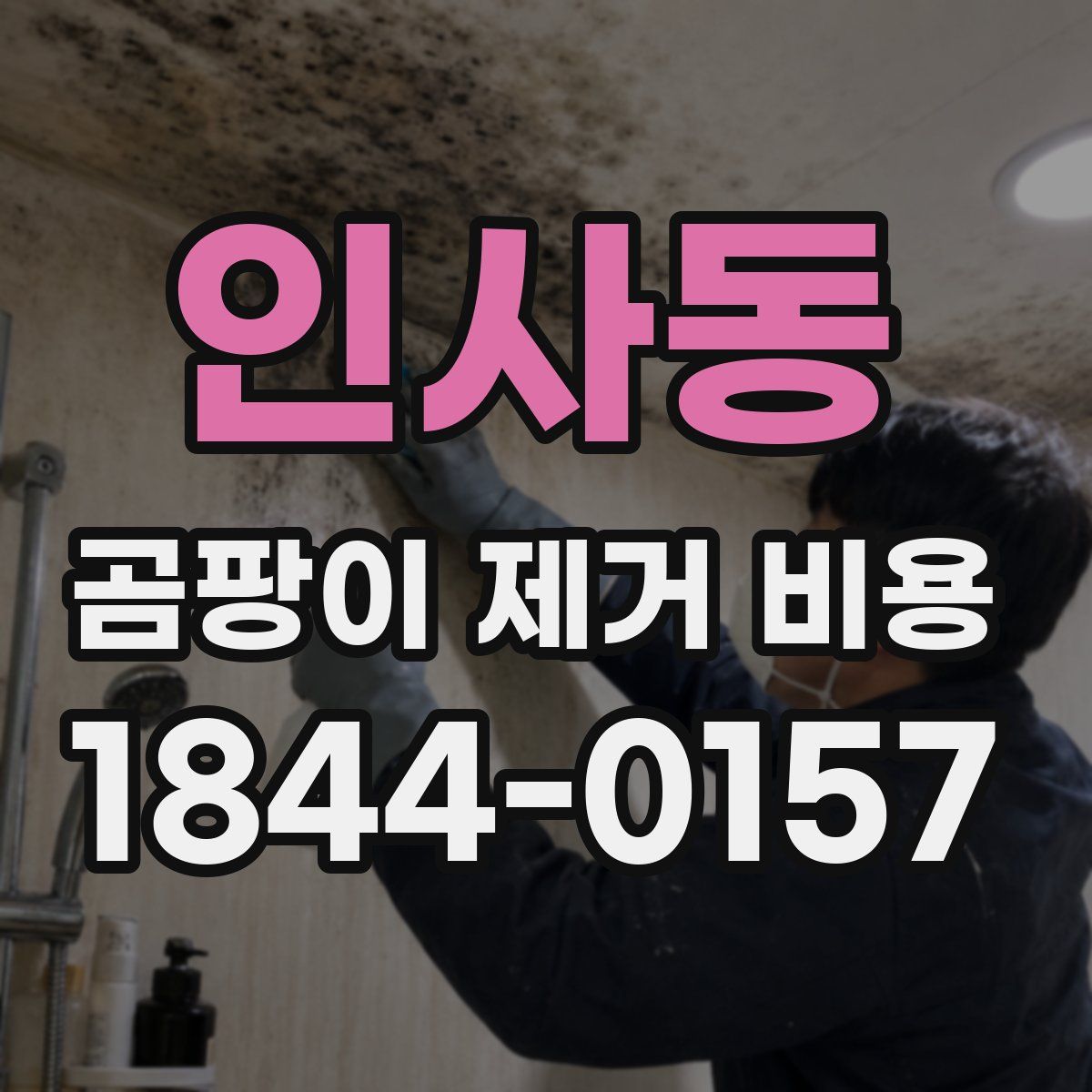 인사동 곰팡이 제거 비용