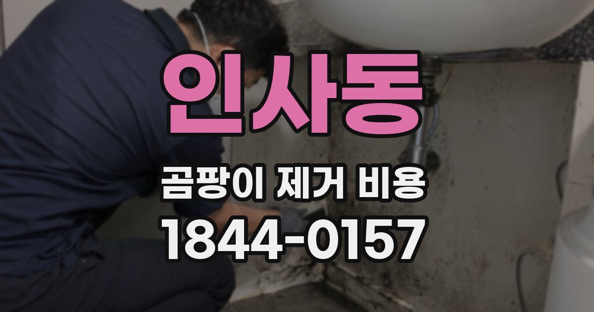 인사동 곰팡이 제거 비용