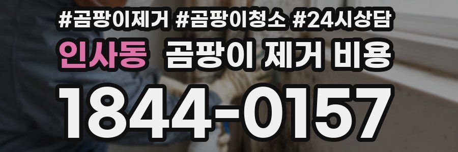 인사동 곰팡이 제거 비용