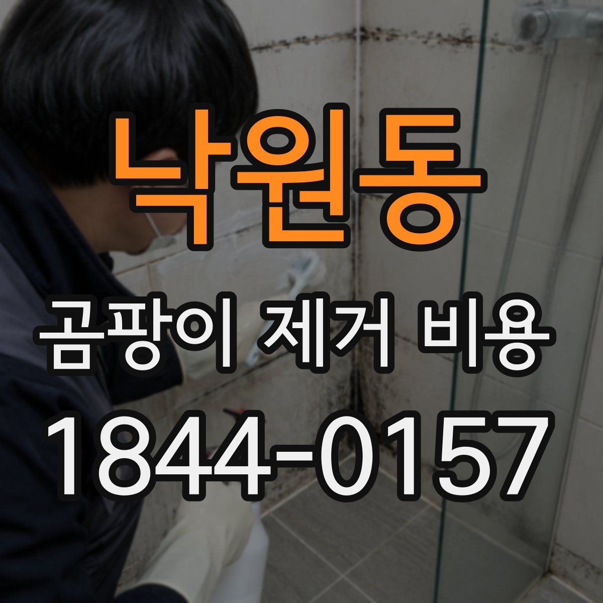 낙원동 곰팡이 제거 비용