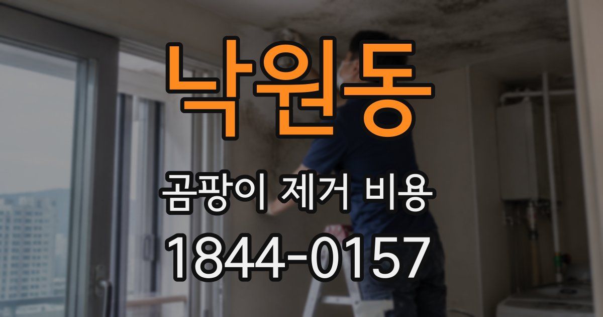 낙원동 곰팡이 제거 비용