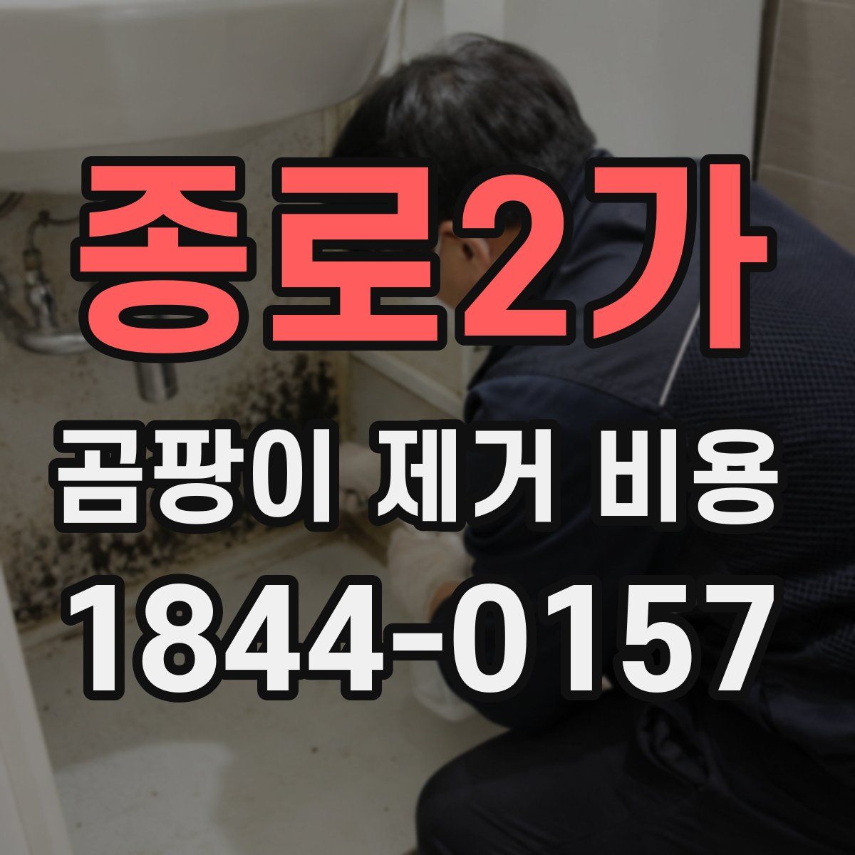 종로2가 곰팡이 제거 비용