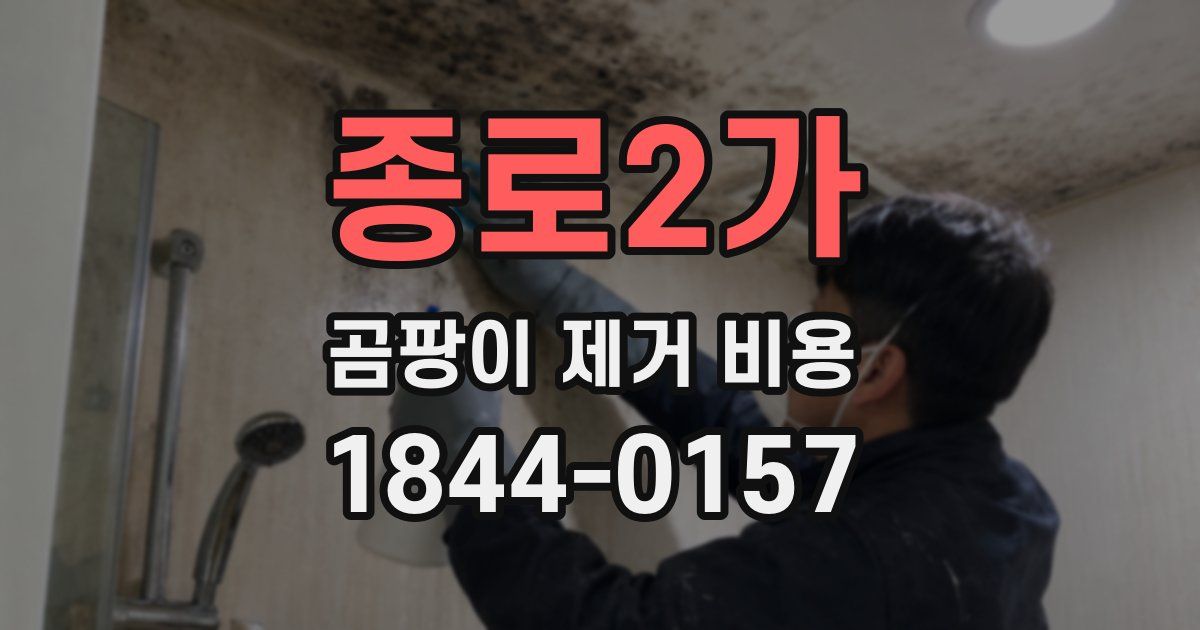 종로2가 곰팡이 제거 비용