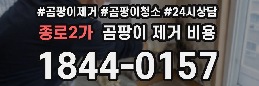 종로2가 곰팡이 제거 비용