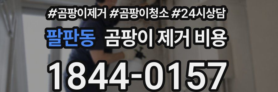 팔판동 곰팡이 제거 비용