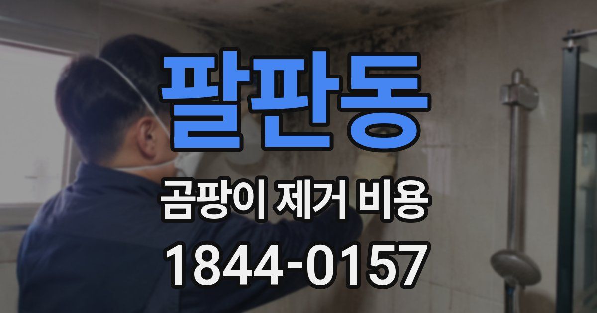 팔판동 곰팡이 제거 비용