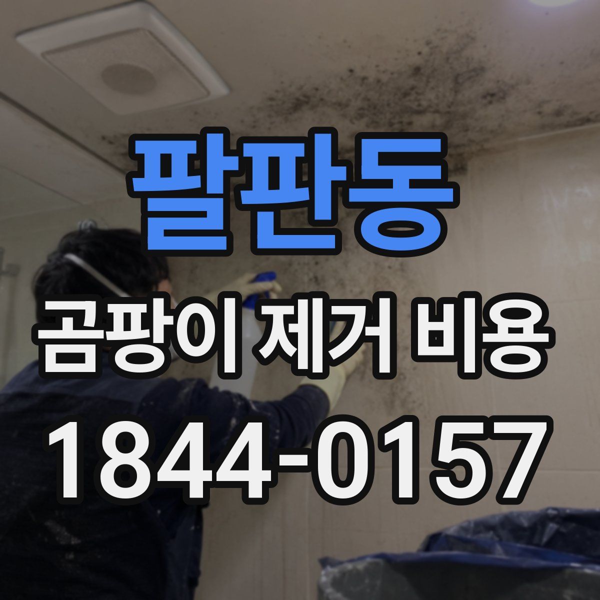 팔판동 곰팡이 제거 비용