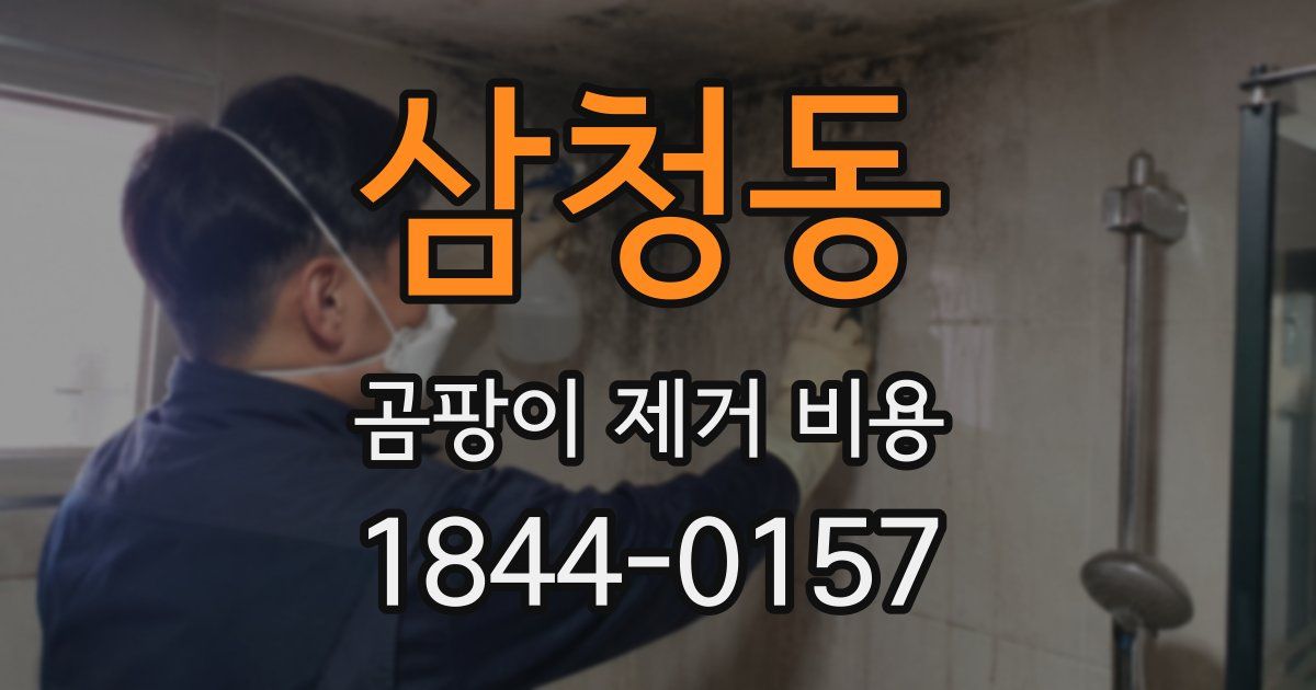 삼청동 곰팡이 제거 비용