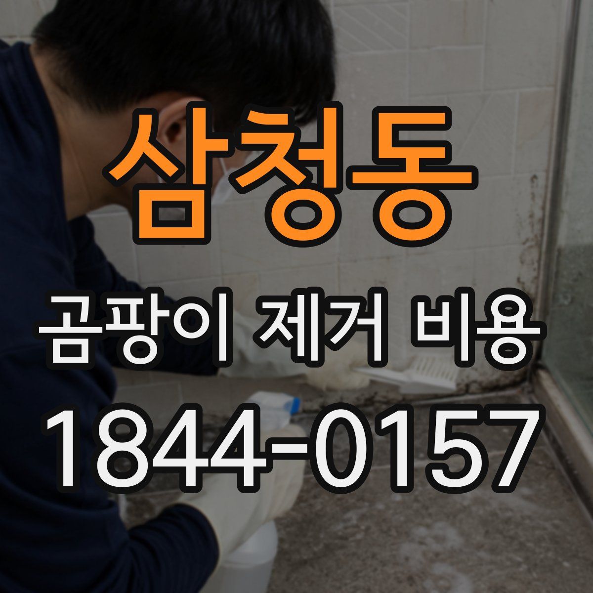삼청동 곰팡이 제거 비용