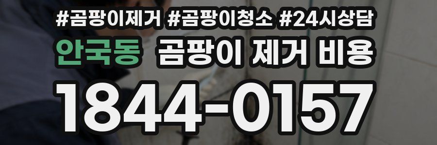 안국동 곰팡이 제거 비용