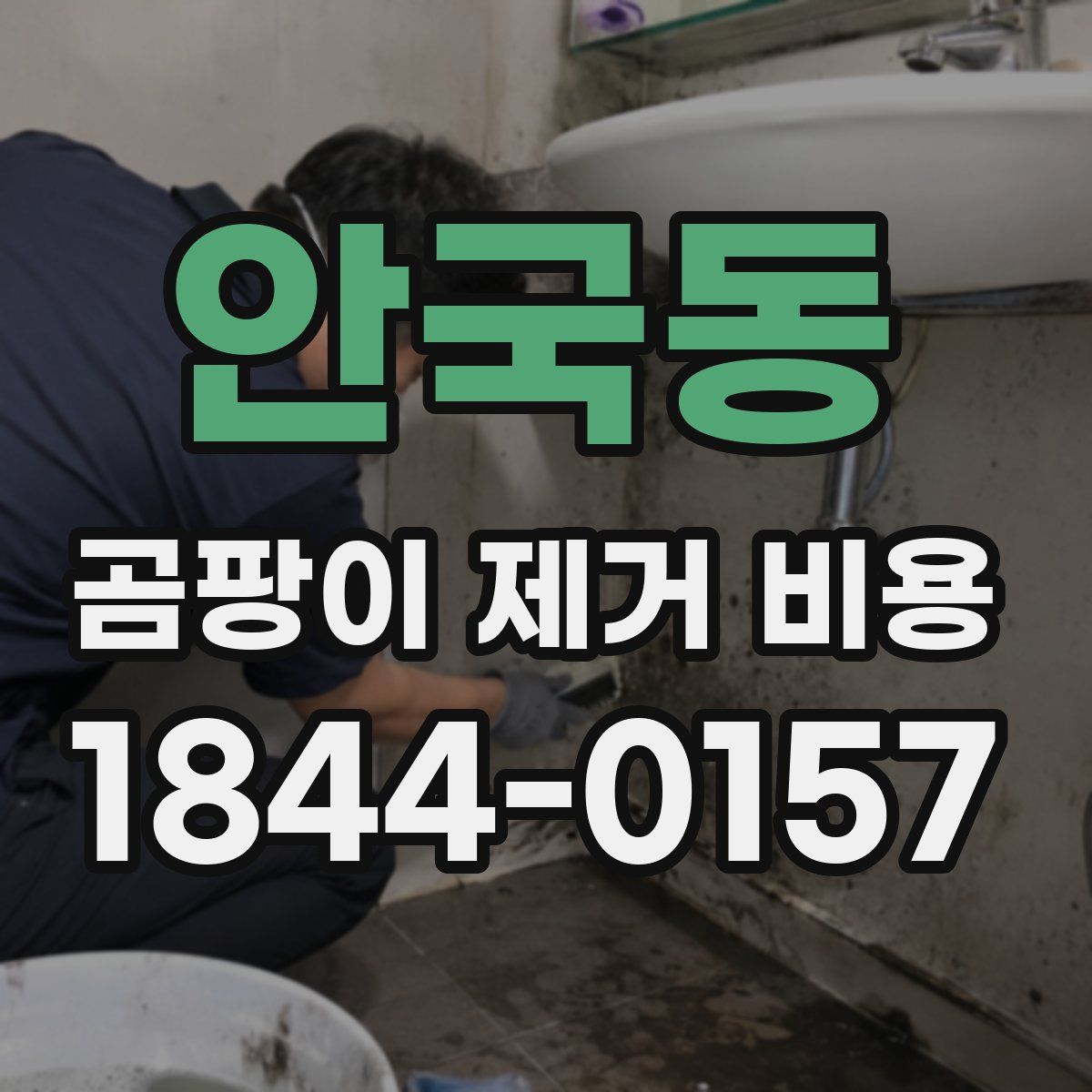안국동 곰팡이 제거 비용