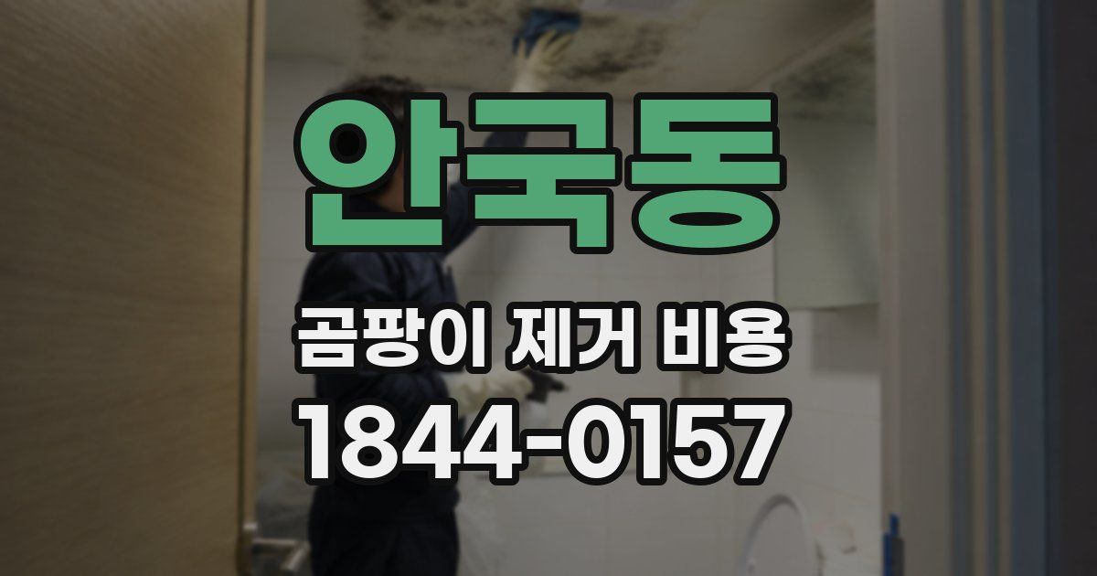안국동 곰팡이 제거 비용