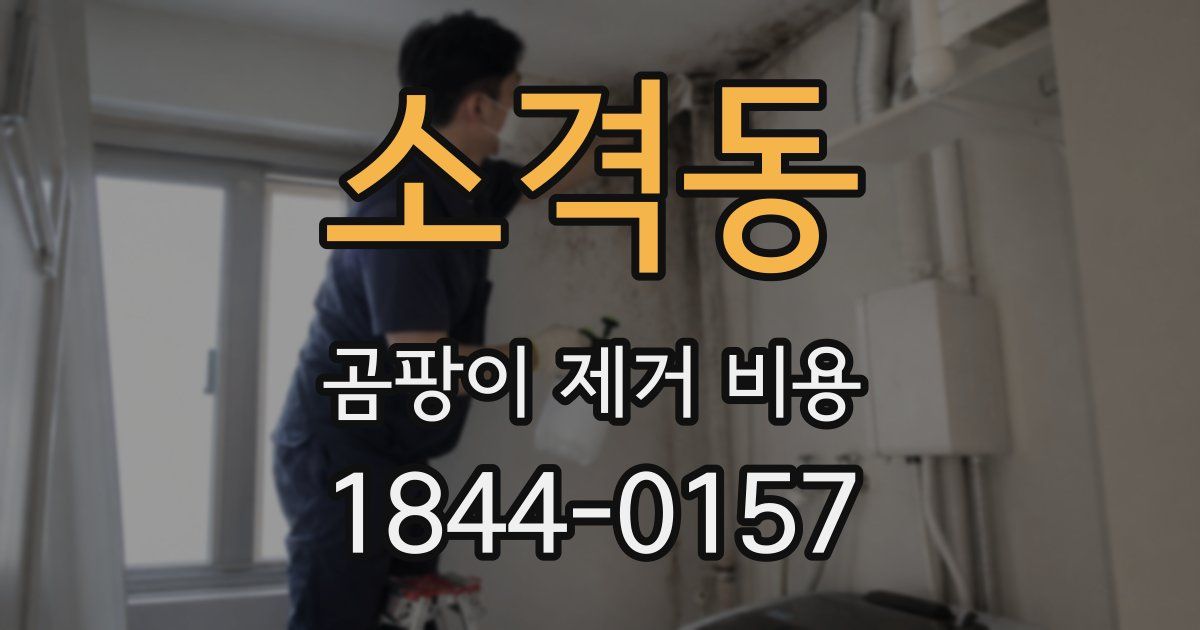 소격동 곰팡이 제거 비용
