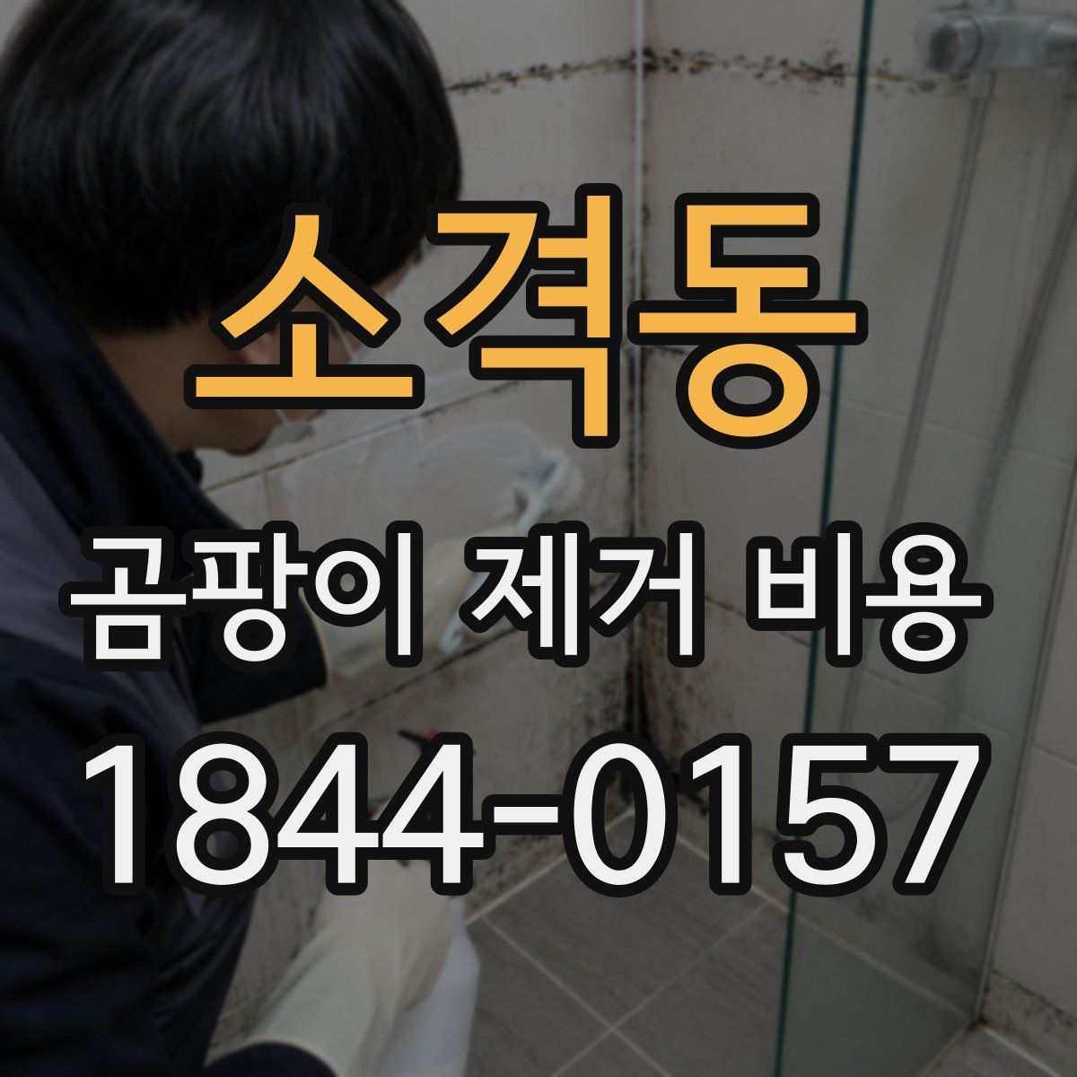 소격동 곰팡이 제거 비용