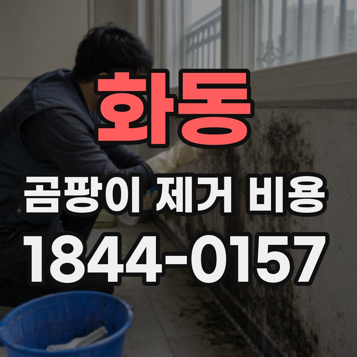 화동 곰팡이 제거 비용