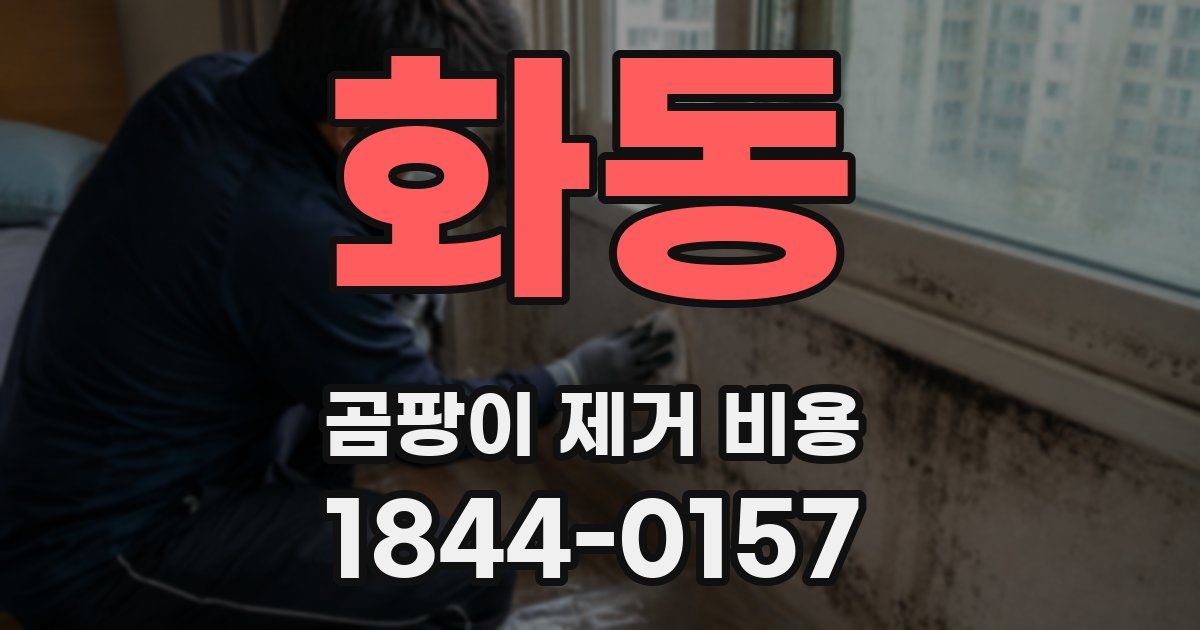 화동 곰팡이 제거 비용
