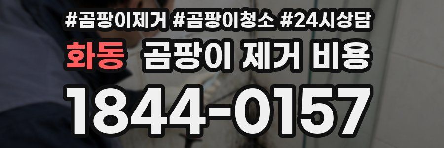 화동 곰팡이 제거 비용