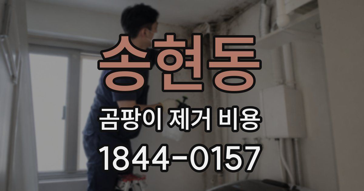 송현동 곰팡이 제거 비용