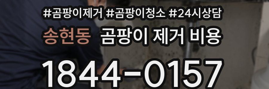 송현동 곰팡이 제거 비용