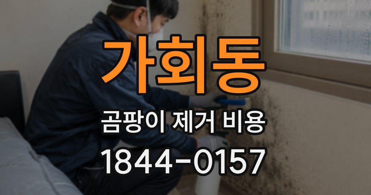 가회동 곰팡이 제거 비용