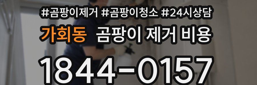 가회동 곰팡이 제거 비용