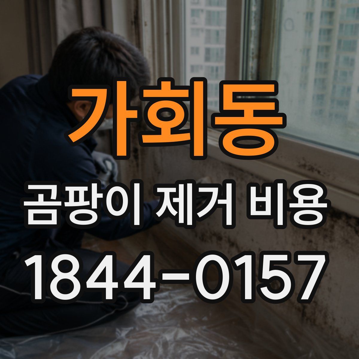가회동 곰팡이 제거 비용