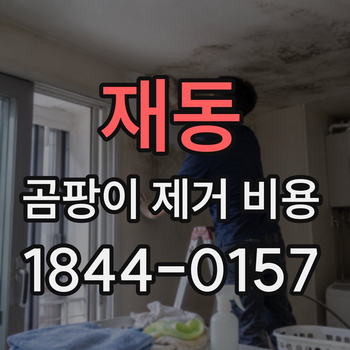 재동 곰팡이 제거 비용